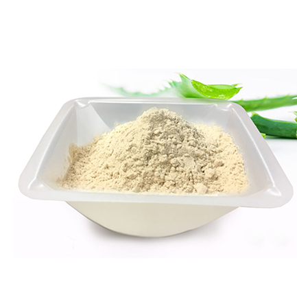 Organic Aloevera Leaves Powder